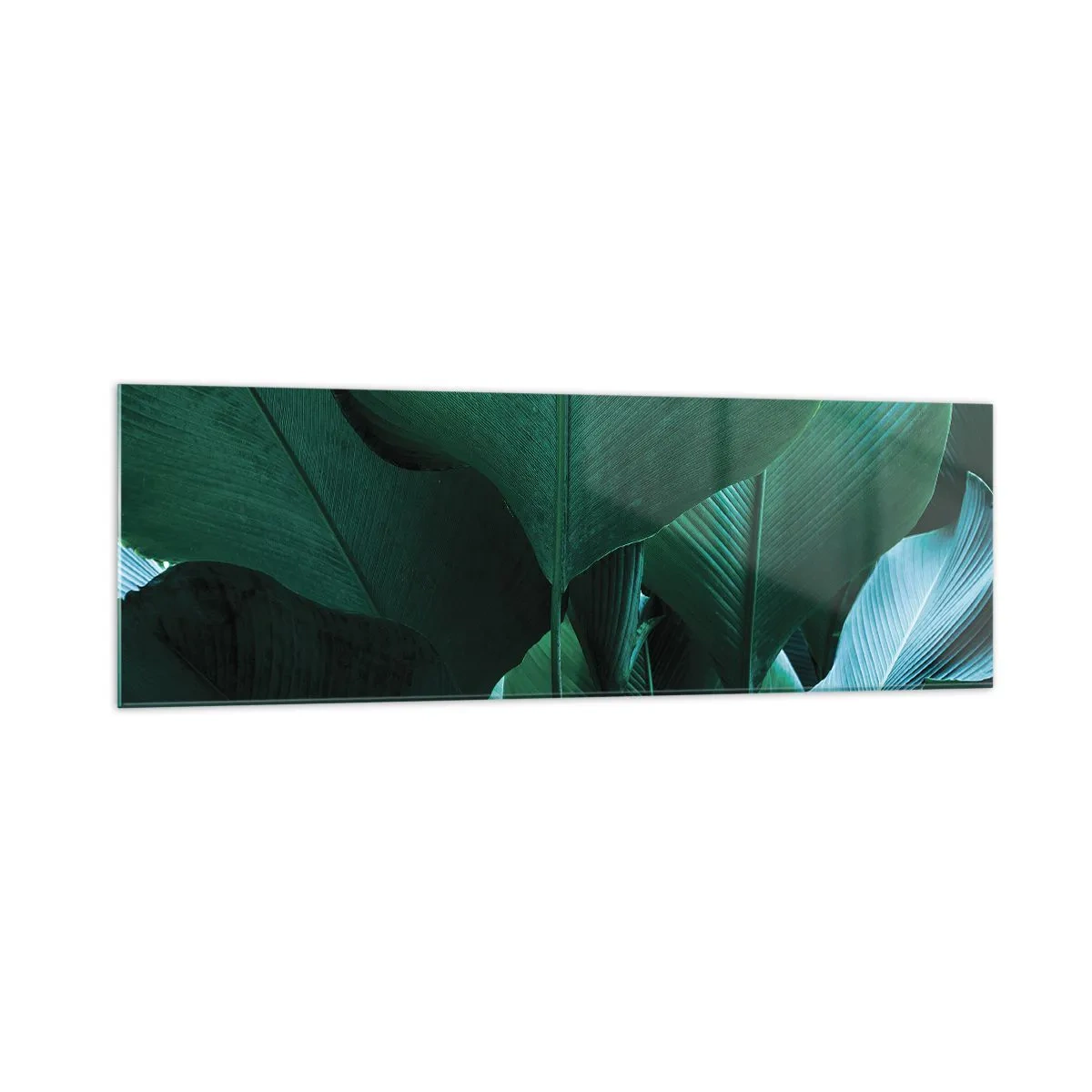 Cuadro sobre vidrio - Impresiones sobre Vidrio - Hojas verdes en una composición minimalista. - 160x50cm - De cara a la luz - Decoración de pared moderna para salón y dormitorio ARTTOR