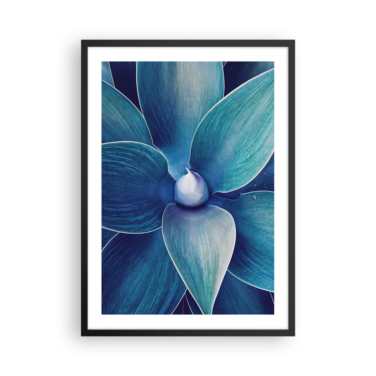 Póster en marco negro - Detalle de una gran flor en tonos azules. - 50x70cm - Azul del cielo - Decoración de pared moderna para salón y dormitorio ARTTOR