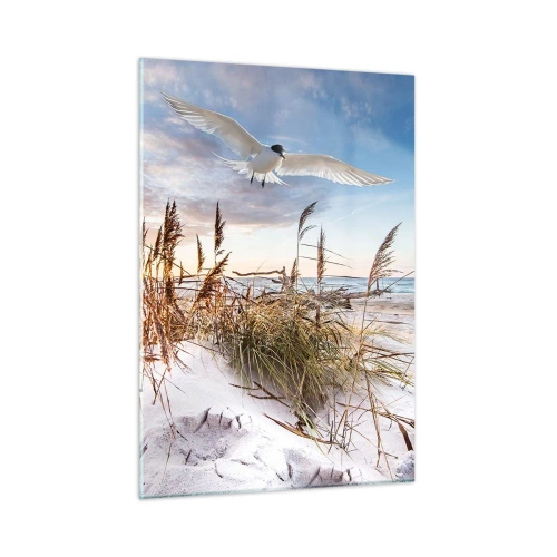 Cuadro sobre vidrio - Impresiones sobre Vidrio - Un pájaro volando sobre las dunas al atardecer. - 50x70cm - Viento del mar - Decoración de pared moderna para salón y dormitorio ARTTOR