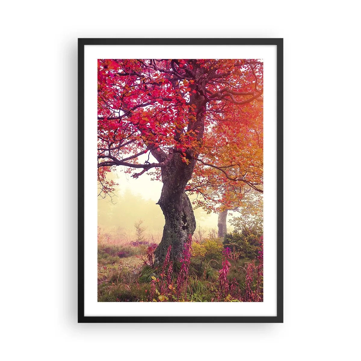 Póster en marco negro - Un árbol con hojas rojas en un paisaje otoñal. - 50x70cm - Un frenesí de floración - Decoración de pared moderna para salón y dormitorio ARTTOR