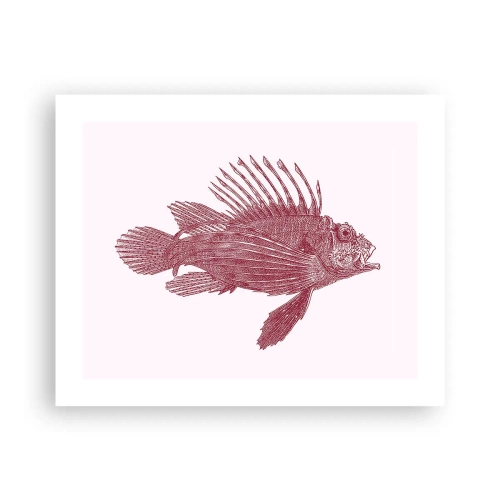 Póster - Un habitante de aguas exóticas - 50x40 cm