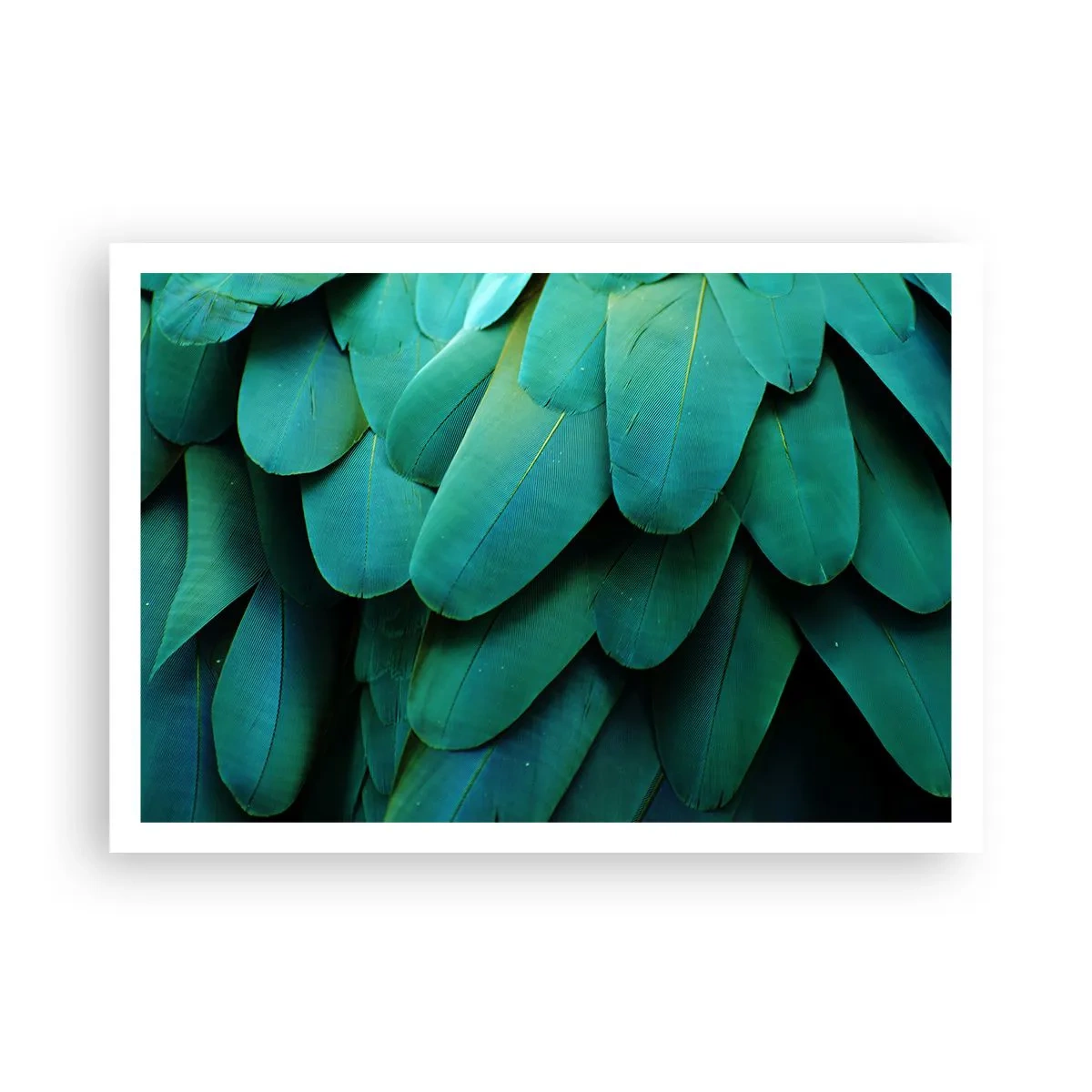 Póster - Detalle de plumas en tonos verdes. - 100x70cm - La precisión de la naturaleza - Decoración de pared moderna para salón y dormitorio ARTTOR