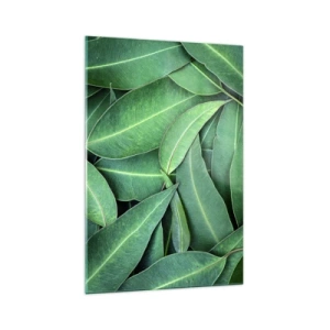 Cuadro sobre vidrio - Impresiones sobre Vidrio - Primer plano de hojas verdes que crean un patrón natural. - 70x100cm - Jugosidad y frescura - Decoración de pared moderna para salón y dormitorio ARTTOR