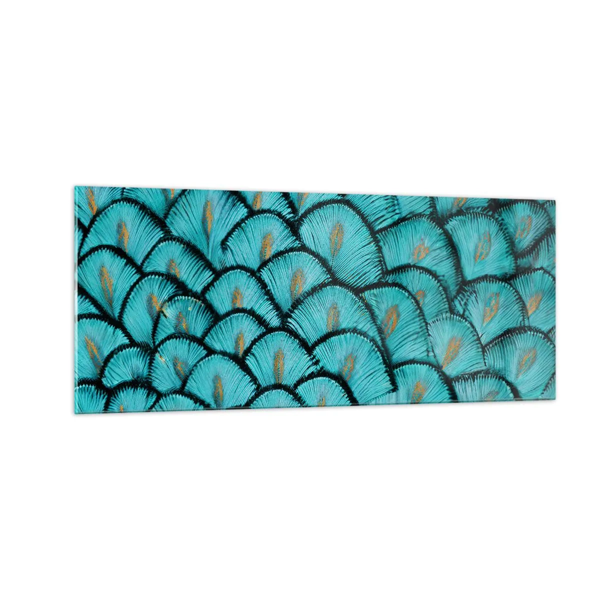 Cuadro sobre vidrio - Impresiones sobre Vidrio - La gran gala de las plumas - 100x40 cm