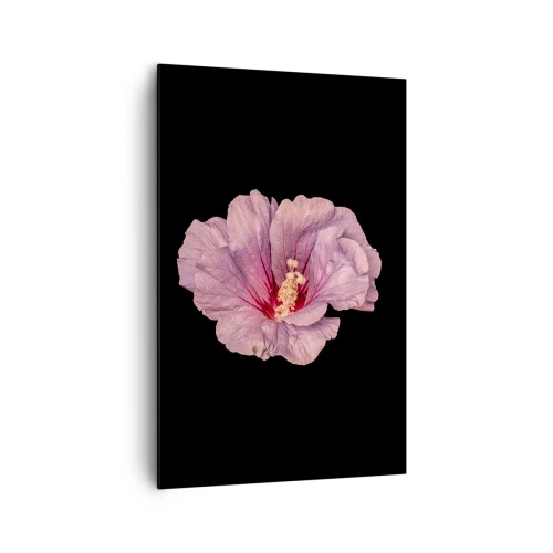 Cuadro sobre lienzo - Impresión de Imagen - Flor rosa sobre fondo negro - 80x120cm - Directo al corazón - Decoración de pared moderna para salón y dormitorio ARTTOR