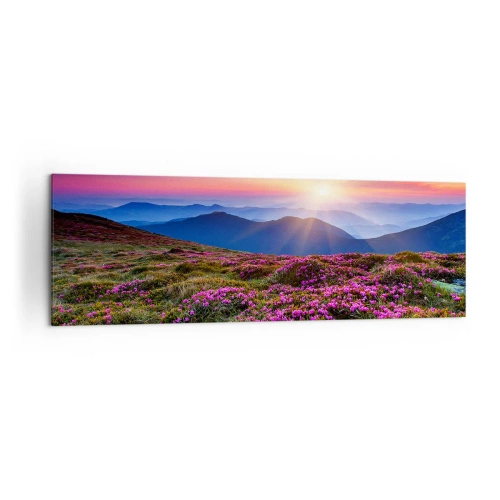 Cuadro sobre lienzo - Impresión de Imagen - Prado de montaña con flores al atardecer - 160x50cm - Dulce aroma a frescura - Decoración de pared moderna para salón y dormitorio ARTTOR