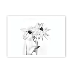 Póster - Flores en blanco y negro con una composición sutil. - 100x70cm - Nadie quiere estar solo - Decoración de pared moderna para salón y dormitorio ARTTOR