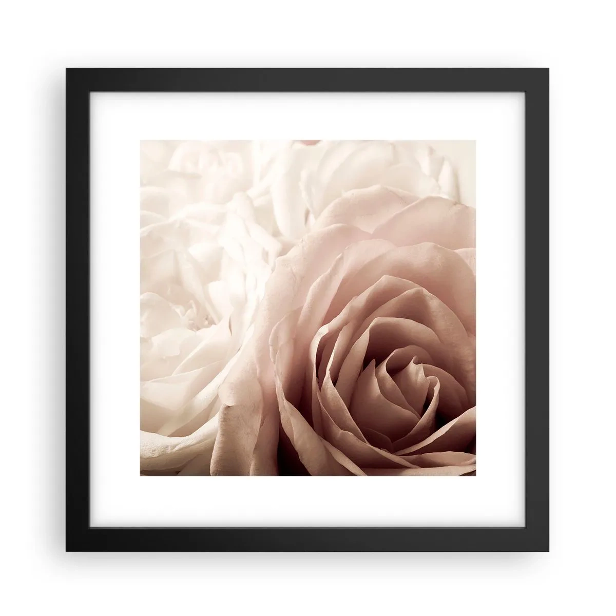 Póster en marco negro - En el corazón de una rosa - 30x30 cm