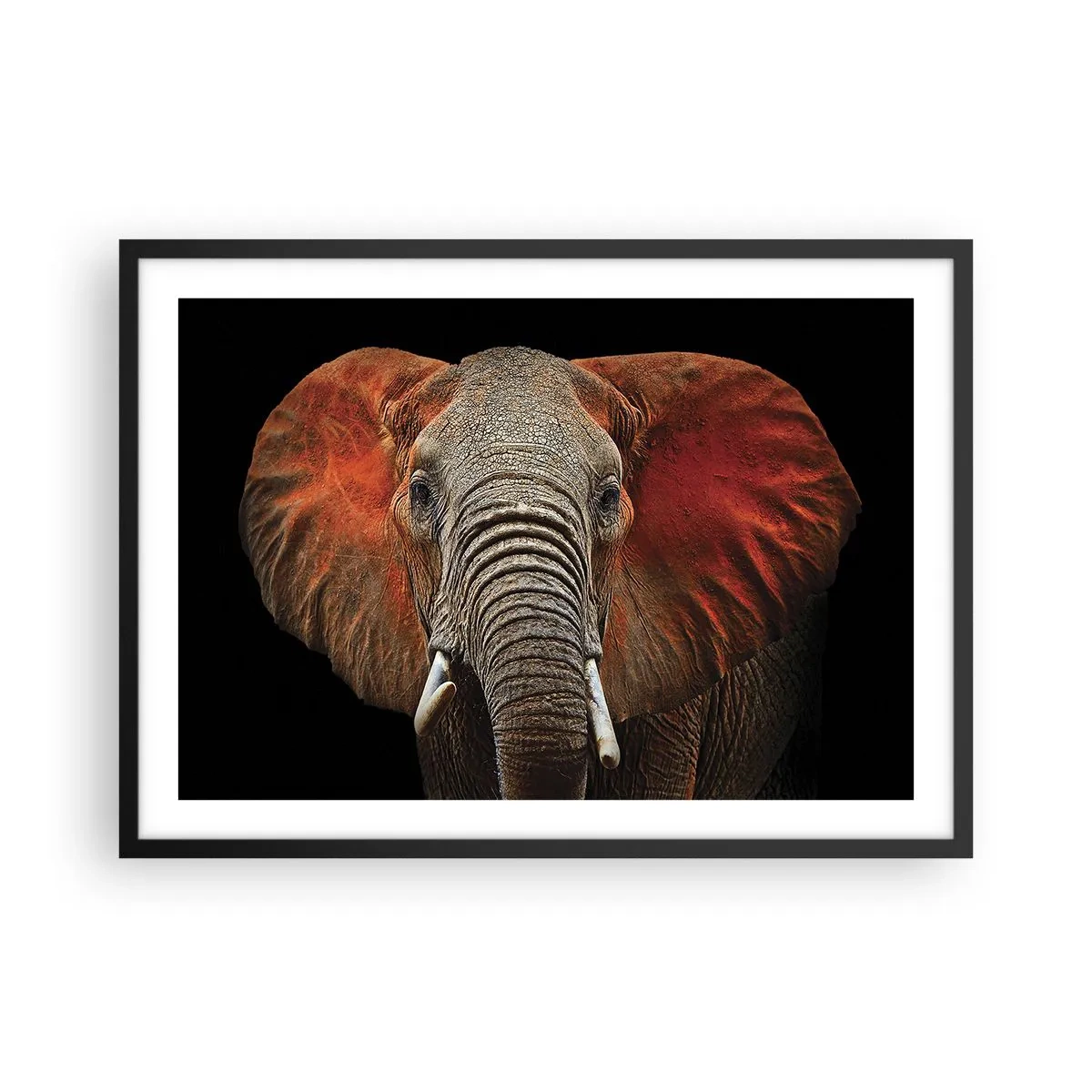 Póster en marco negro - Retrato de un elefante sobre fondo negro - 70x50cm - Soy salvaje, ¿y tú? - Decoración de pared moderna para salón y dormitorio ARTTOR