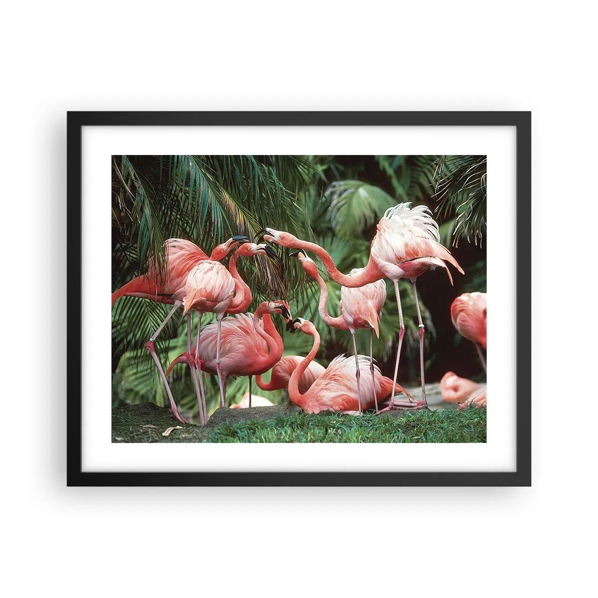 Póster en marco negro - Cotilleos de la tarde - 50x40 cm