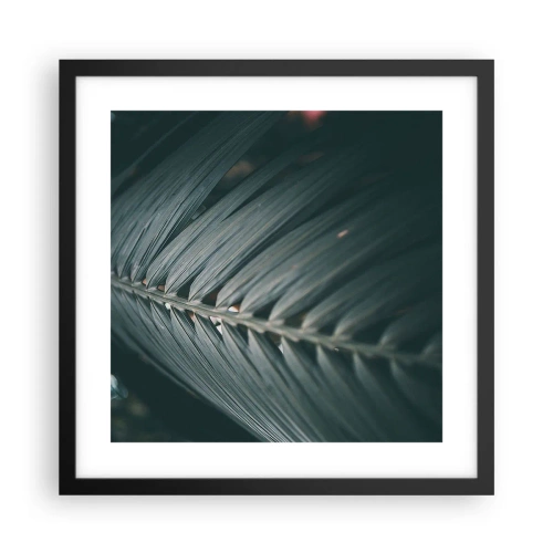Póster en marco negro - La precisión de la naturaleza - 40x40 cm