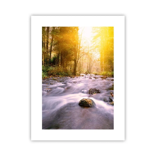 Póster - Malaquita en un marco de plata y oro - 30x40 cm