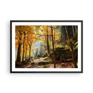 Póster en marco negro - Un bosque otoñal lleno de hojas doradas y luz solar. - 70x50cm - Tiempo de descanso - Decoración de pared moderna para salón y dormitorio ARTTOR
