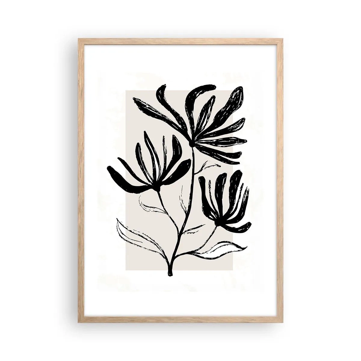 Póster en marco roble claro - Esbozo para un herbario - 50x70 cm