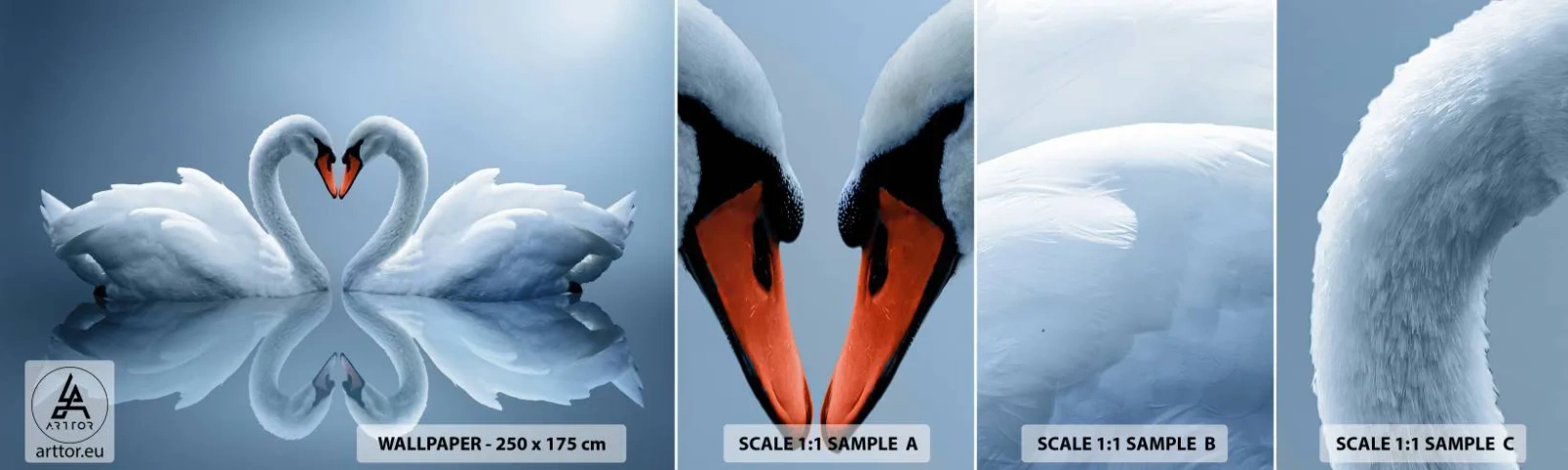 Muestra De Fotomural Standard Eco - Tiempo de amor - cisnes, Amar, Corazón - 100x30 cm