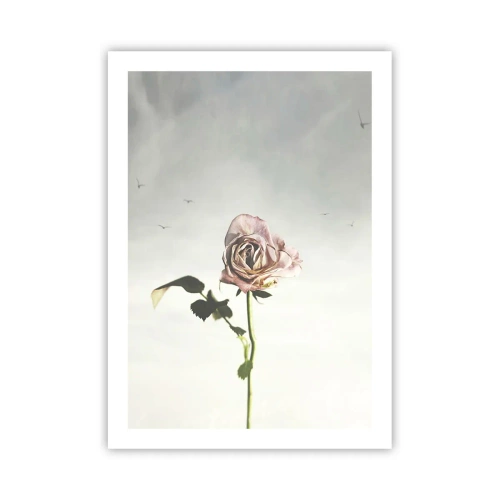 Póster - Una rosa sutil contra un cielo delicado. - 50x70cm - Bienvenida a la primavera - Decoración de pared moderna para salón y dormitorio ARTTOR