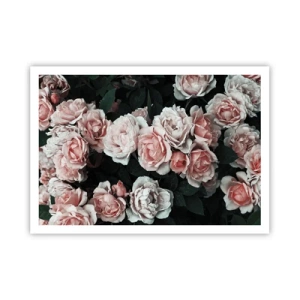 Póster - Rosas rosadas sobre un fondo oscuro en una composición sutil. - 100x70cm - Conjunto de rosas - Decoración de pared moderna para salón y dormitorio ARTTOR