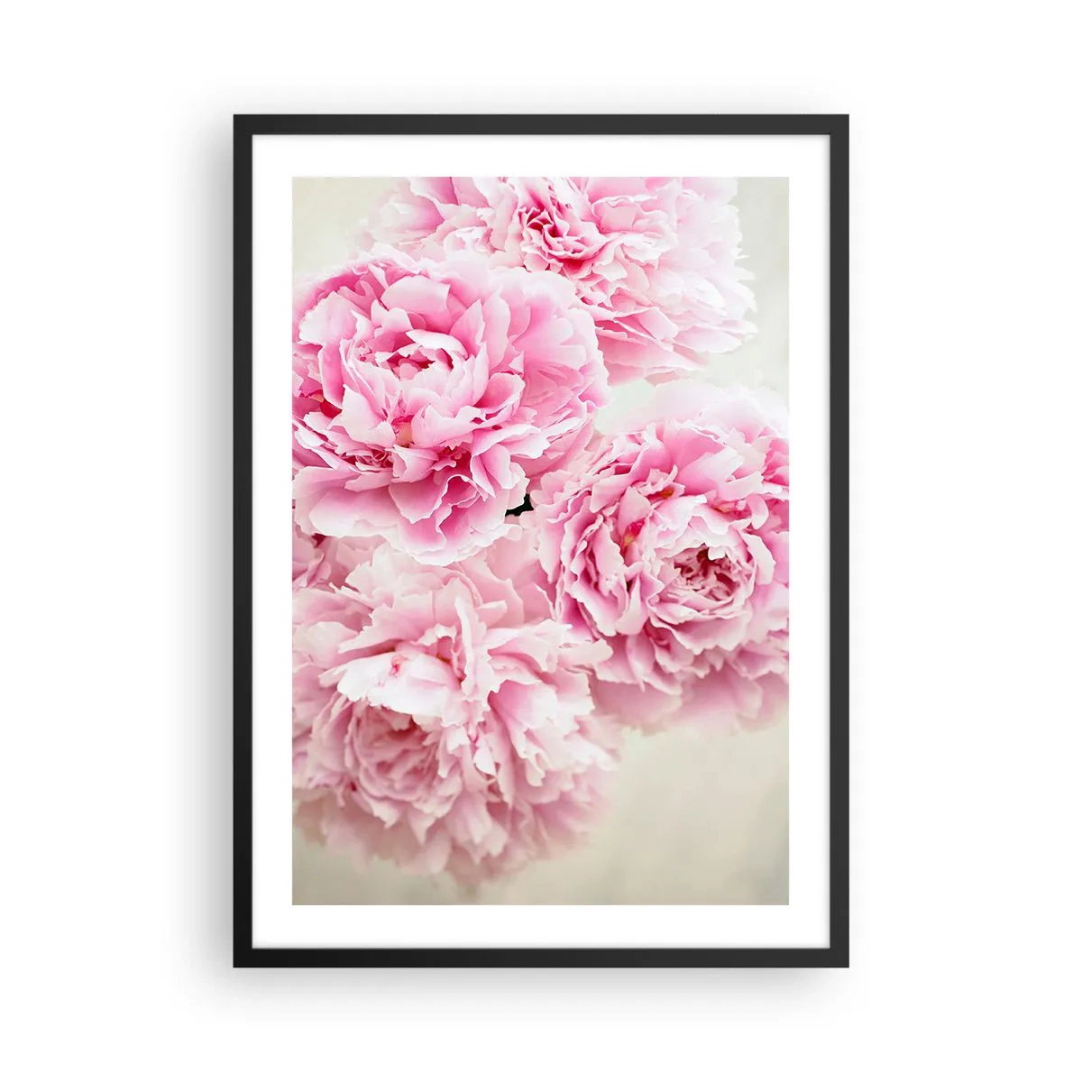 Póster en marco negro - Un ramo de peonías rosas sobre un fondo claro. - 50x70cm - En el esplendor del rosa - Decoración de pared moderna para salón y dormitorio ARTTOR
