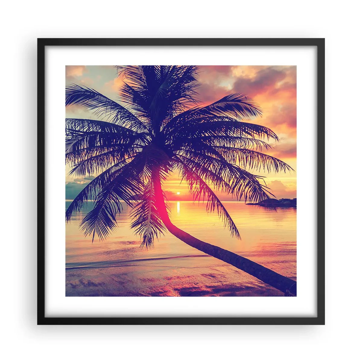 Póster en marco negro - Atardecer bajo las palmeras - 50x50 cm