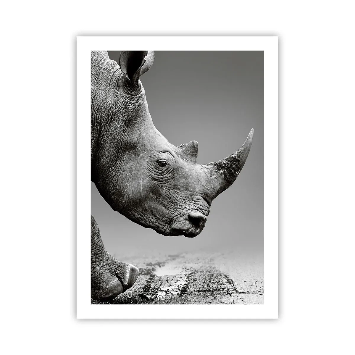 Póster - Primer plano en blanco y negro de la cabeza de un rinoceronte. - 50x70cm - Fuerza imparable - Decoración de pared moderna para salón y dormitorio ARTTOR