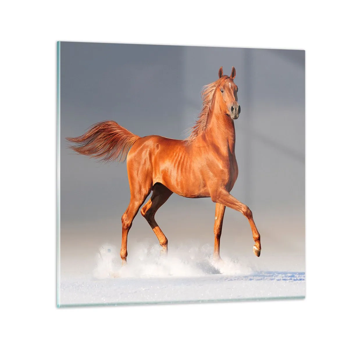 Cuadro sobre vidrio - Impresiones sobre Vidrio - Danza al viento - 40x40 cm