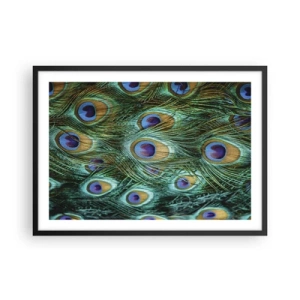 Póster en marco negro - Detalles de plumas de pavo real en ricos colores. - 70x50cm - Mirada de pavo real - Decoración de pared moderna para salón y dormitorio ARTTOR