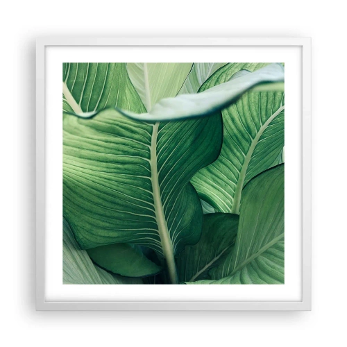 Póster en marco blanco - Vida intensamente verde - 50x50 cm