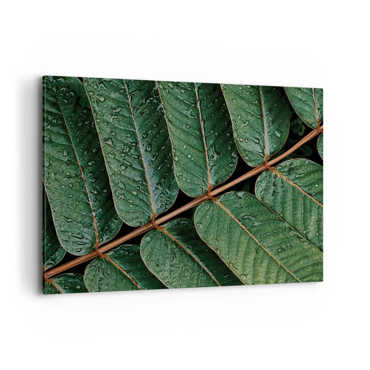 Cuadro sobre lienzo - Impresión de Imagen - Fotografía macro de hojas verdes con gotas de rocío. - 100x70cm - En un ritmo verde - Decoración de pared moderna para salón y dormitorio ARTTOR