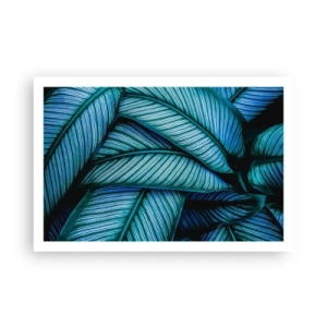 Póster - Líneas de vida - 91x61 cm