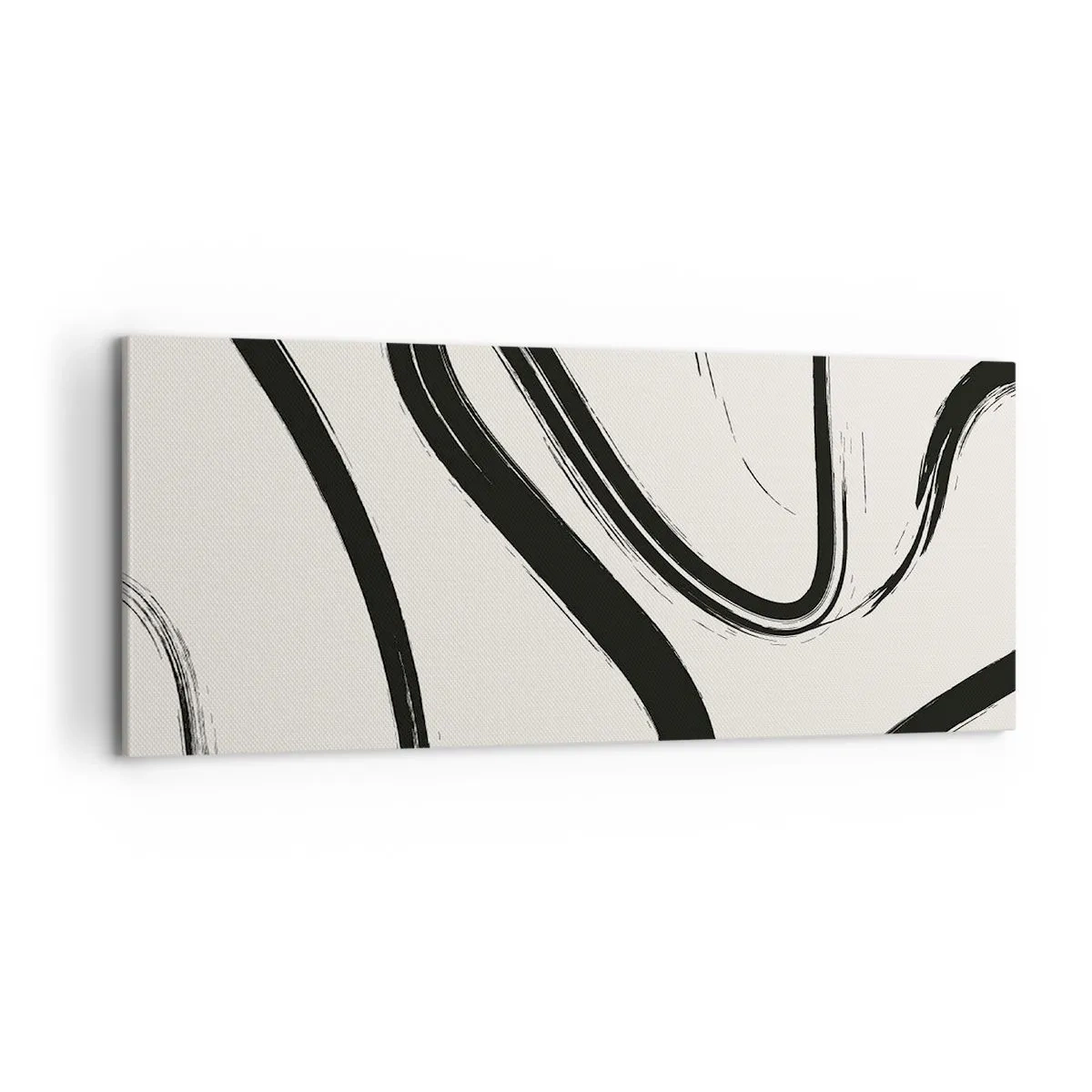 Cuadro sobre lienzo - Impresión de Imagen - Fantasía en blanco y negro - 100x40 cm