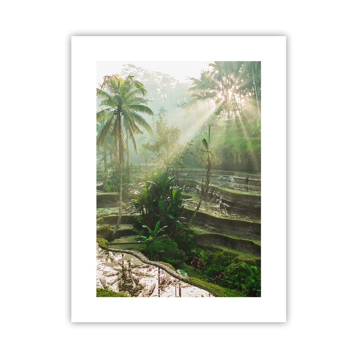 Póster - Crecer bajo el sol - 30x40 cm