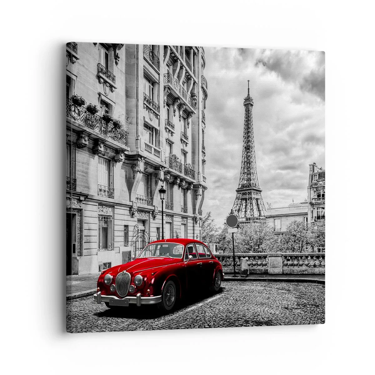 Cuadro sobre lienzo - Impresión de Imagen - Un depredador en la ciudad - 30x30 cm