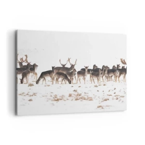 Cuadro sobre lienzo - Impresión de Imagen - Una manada de ciervos sobre un fondo nevado. - 100x70cm - ¿Se acerca la Navidad? - Decoración de pared moderna para salón y dormitorio ARTTOR