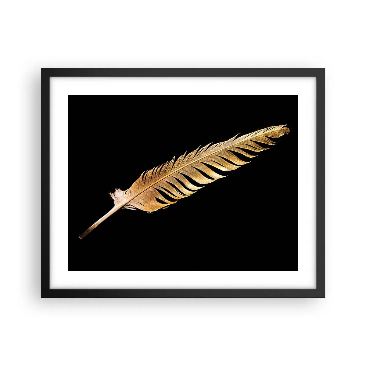 Póster en marco negro - Pluma de alta calidad - 50x40 cm
