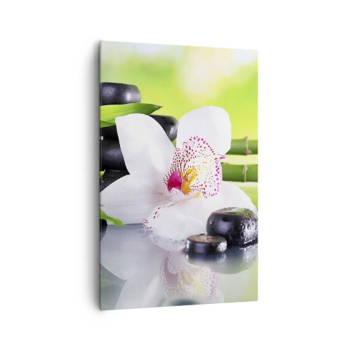 Cuadro sobre lienzo - Impresión de Imagen - Orquídea, piedras y bambú en una armoniosa composición de spa. - 80x120cm - Frescura - Decoración de pared moderna para salón y dormitorio ARTTOR