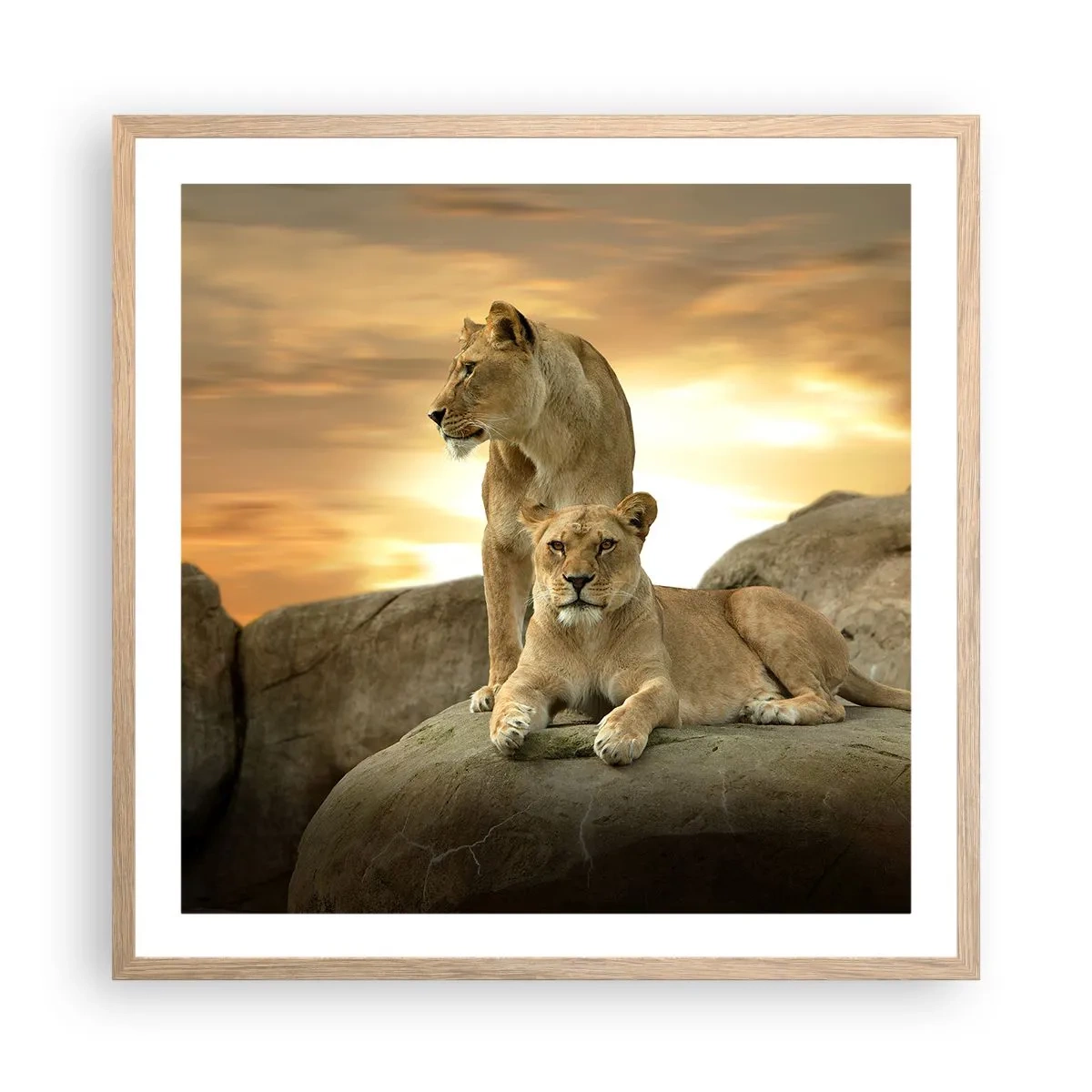 Póster en marco roble claro - Majestuosidad real - 60x60 cm