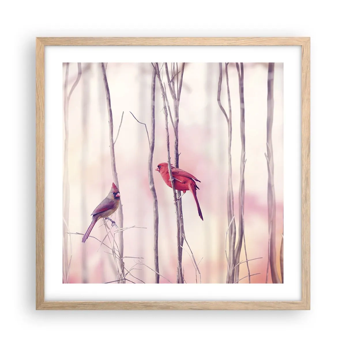 Póster en marco roble claro - Historia de un bosque rosa - 50x50 cm