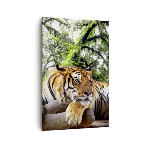 Cuadro sobre lienzo - Impresión de Imagen - Un tigre descansando en un bosque tropical. - 80x120cm - Atentamente - Decoración de pared moderna para salón y dormitorio ARTTOR