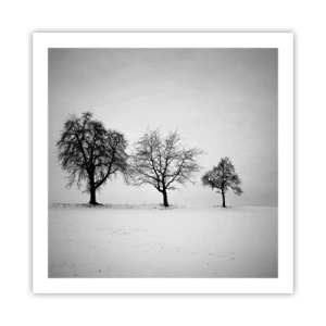 Póster - ¿Con qué sueñan? - 60x60 cm