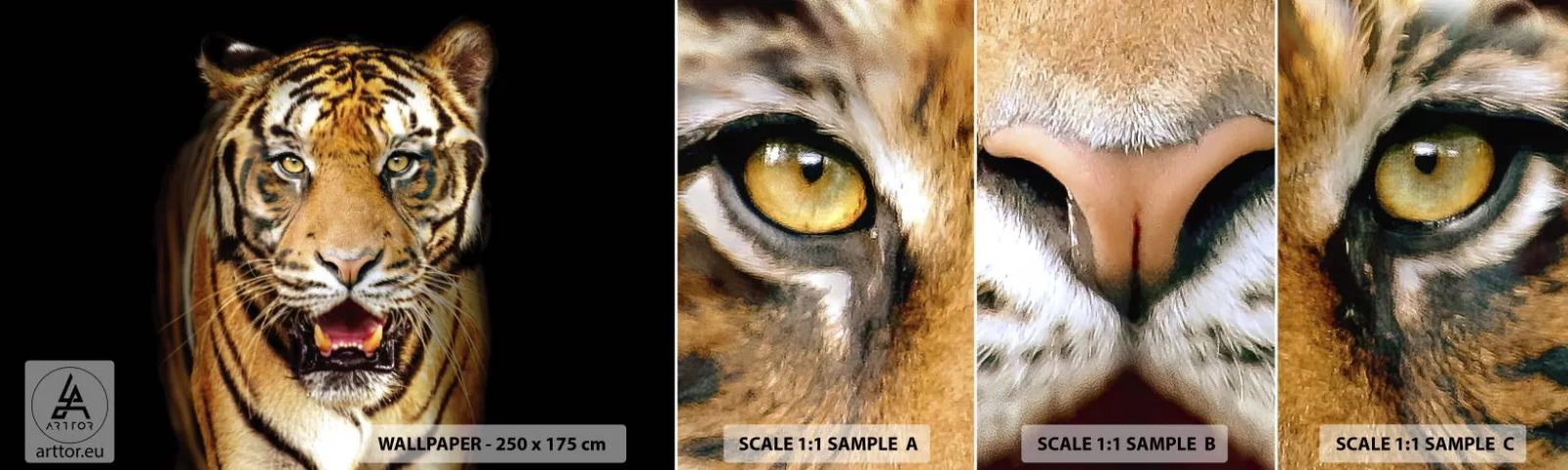 Muestra De Fotomural Standard Eco - Salvaje de corazón - animales, Tigre, Depredador - 100x30 cm