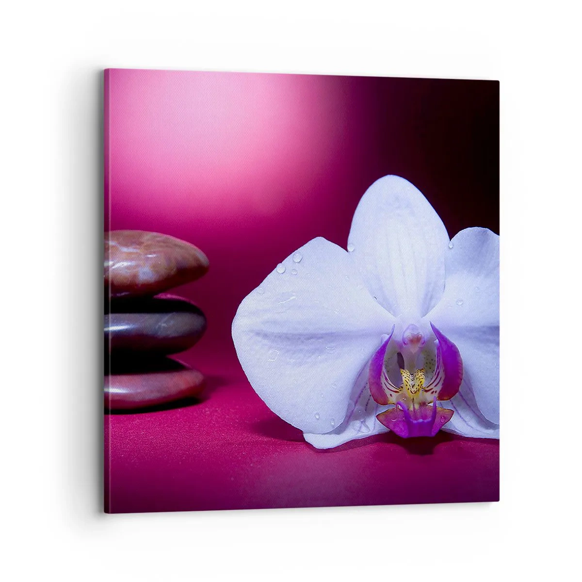 Cuadro sobre lienzo - Impresión de Imagen - Estudio de frescura en violeta - 70x70 cm