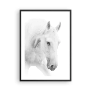 Póster en marco negro - Retrato de un caballo blanco en estilo minimalista. - 50x70cm - ¿Es esto realmente la amistad...? - Decoración de pared moderna para salón y dormitorio ARTTOR