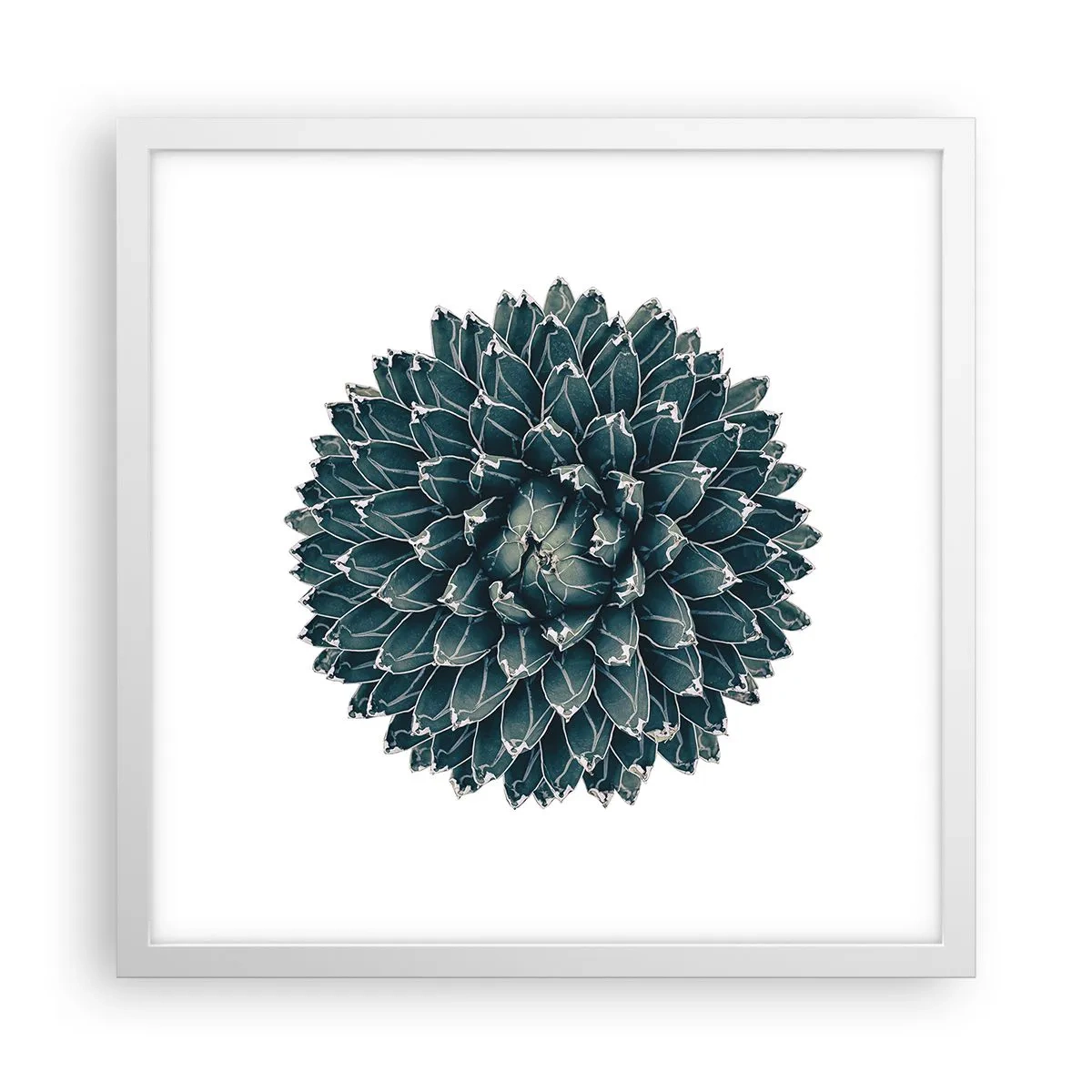 Póster en marco blanco - Estrella del desierto - 40x40 cm