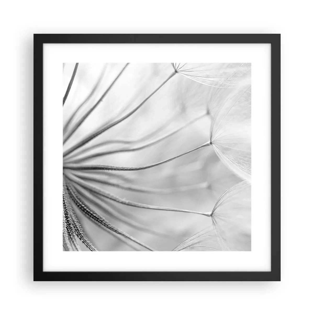 Póster en marco negro - Caricias del viento - 40x40 cm