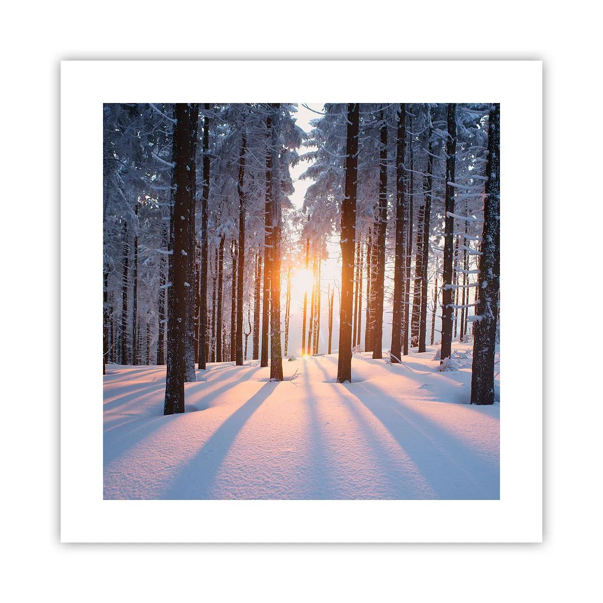 Póster - Claramente en blanco y negro - 40x40 cm