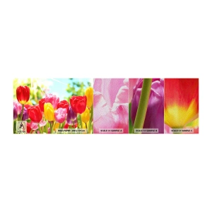 Muestra de fotomural Premium Sand - Somos nosotros, ¡los colores de mayo! - flores, tulipanes, Jardín - 100x30 cm