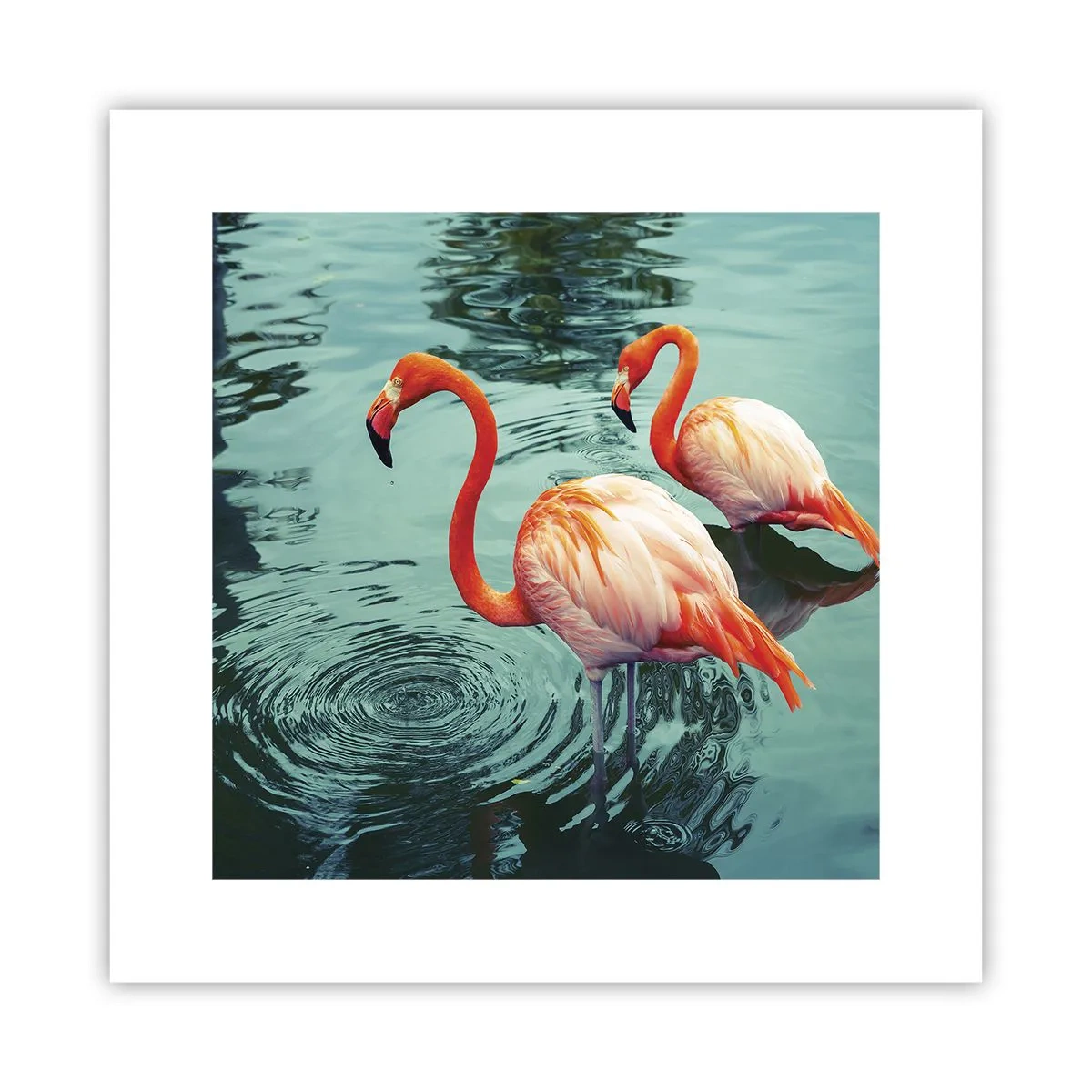 Póster - Estamos de moda - 30x30 cm