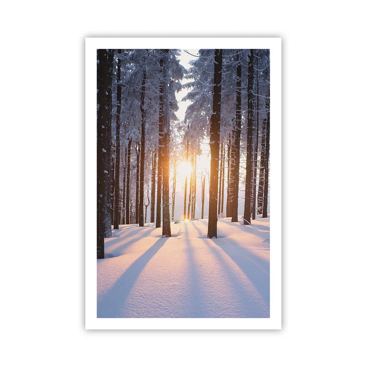 Póster - Claramente en blanco y negro - 61x91 cm