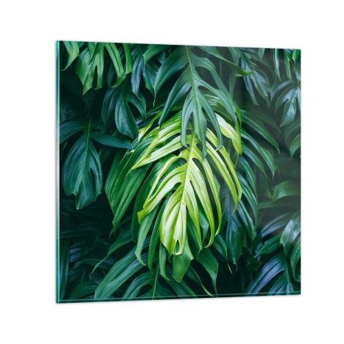 Cuadro sobre vidrio - Impresiones sobre Vidrio - Sumérjase en la frescura - 70x70 cm