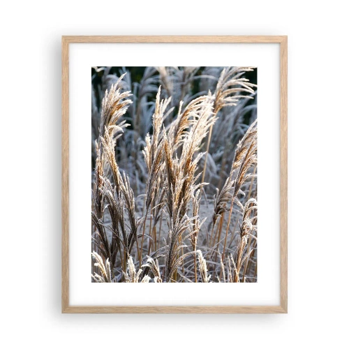 Póster en marco roble claro - Campos y campos - 40x50 cm